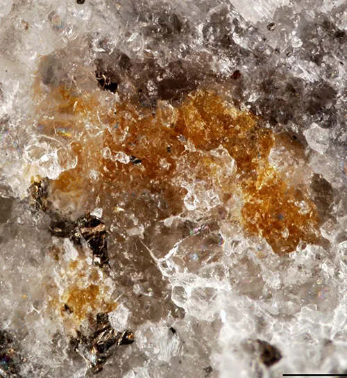 muirite