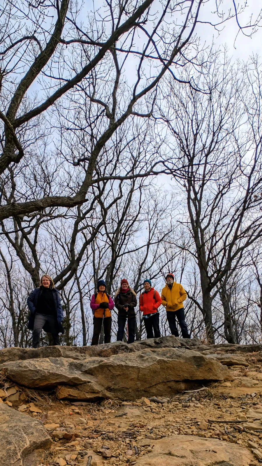 A group of five people in a forest. The photo is taken looking up from a lower vantage point. They are stood on a light brown/orange rock formation with bare trees behind them. They are dressed for the cool weather.