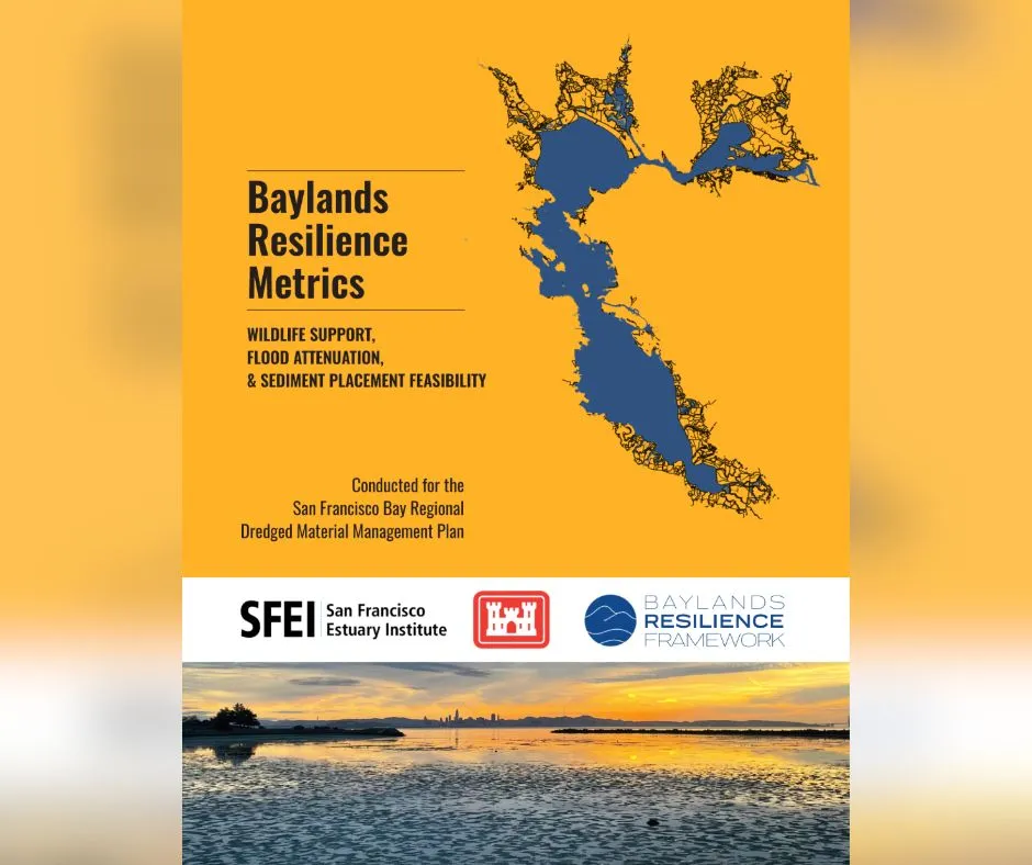  Baylands Resilience Metrics: Wildlife Support, Flood Attenuation, and Sediment Placement Feasibility