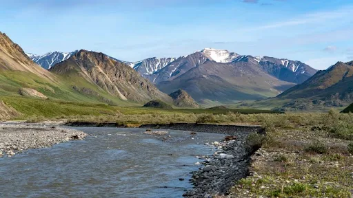 Artic Refuge