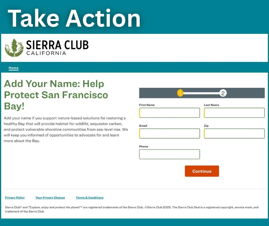 Take Action