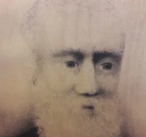 Daniel Muir