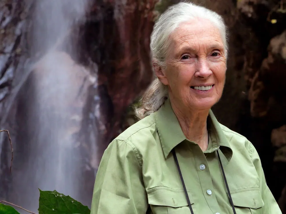 jane goodall