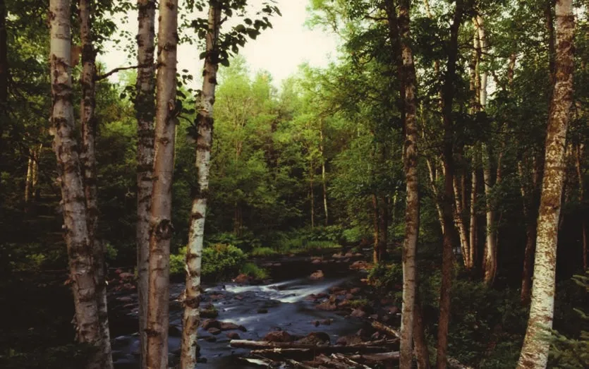 Upper Temperance River. Photo credit: Michael Shoop