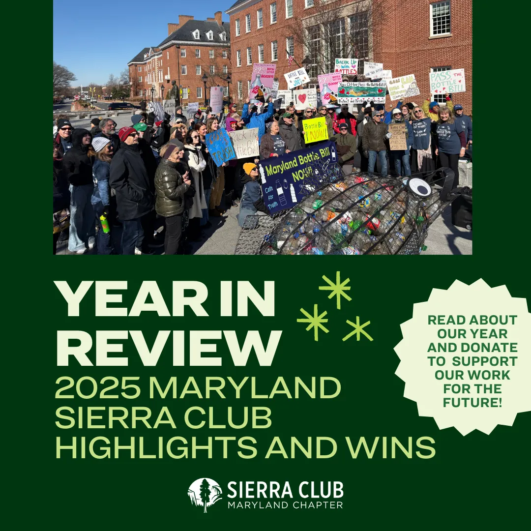 Year in Review 2025 Graphic 