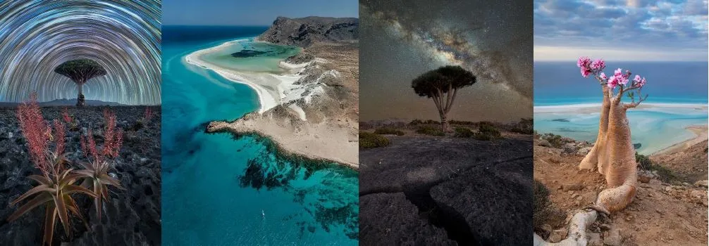 Four panels with strange and wonderful images