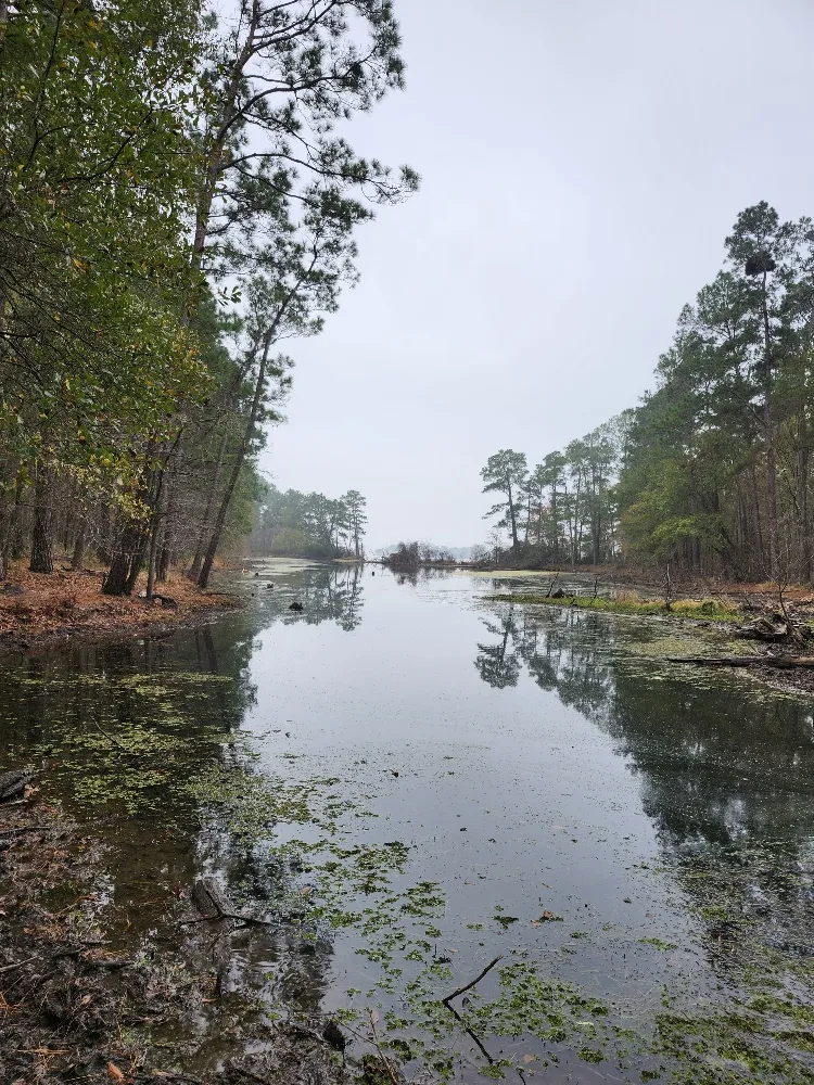 Lake Conroe