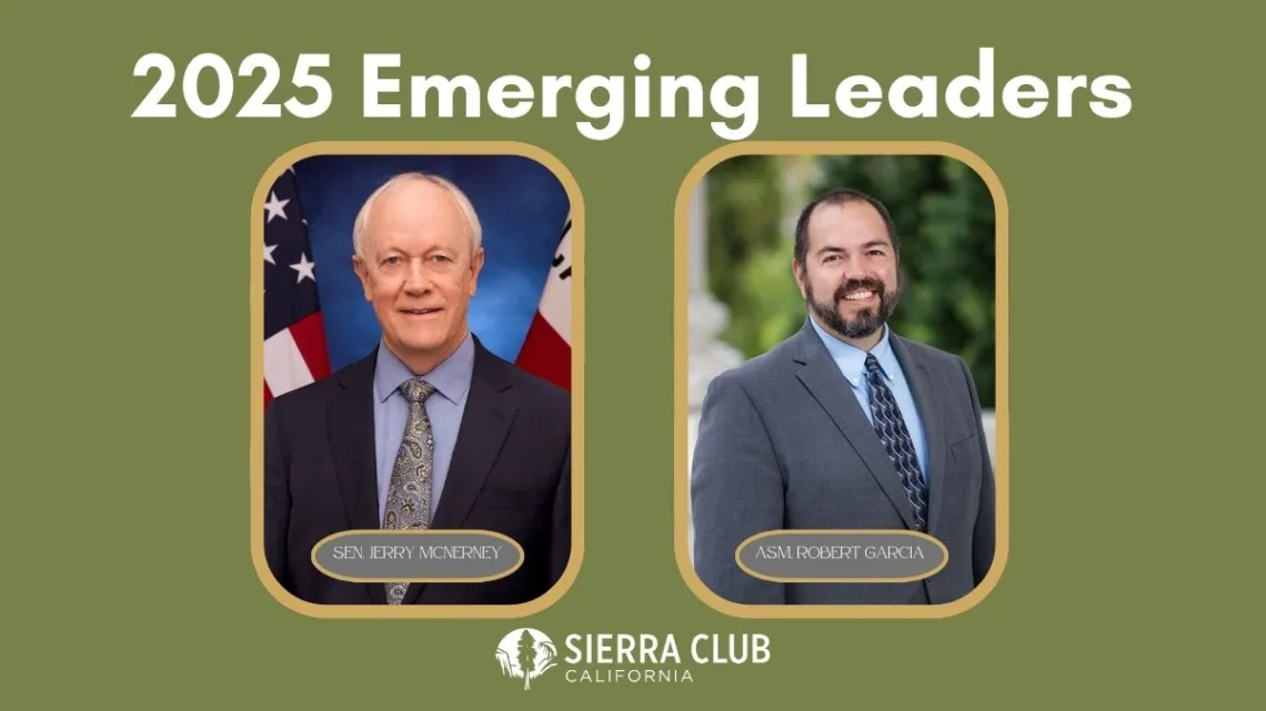 Emerging leaders