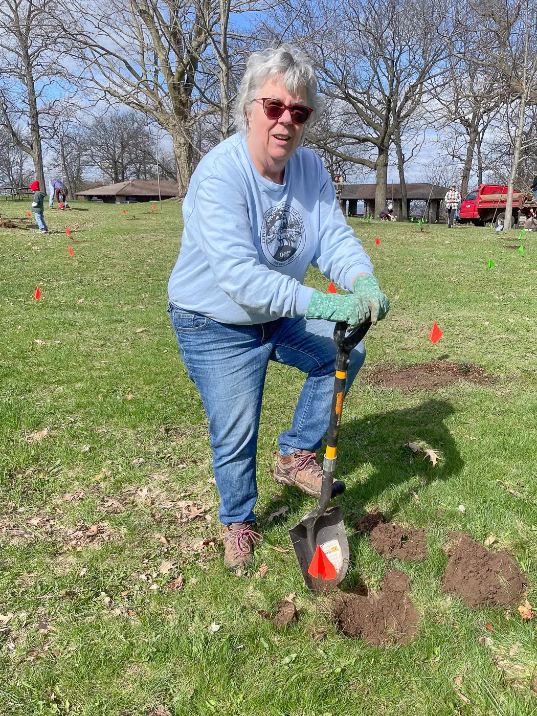planting tree