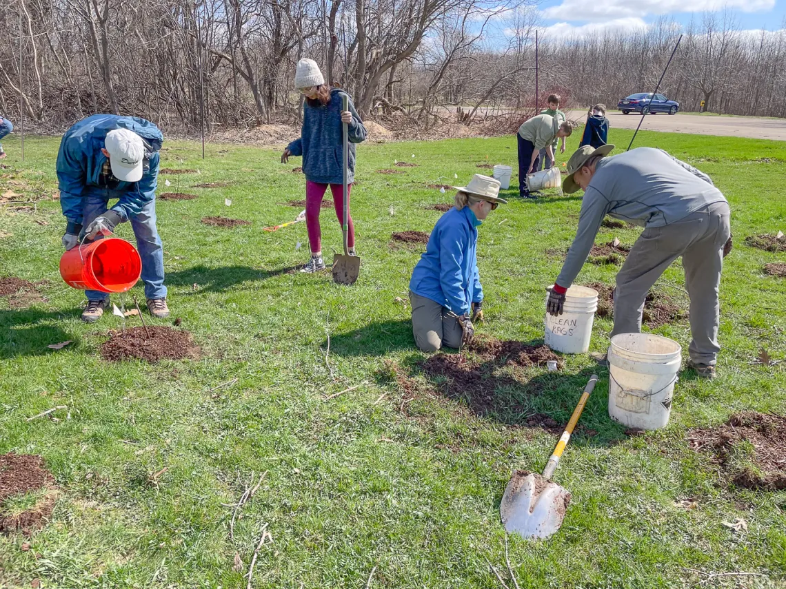 planting