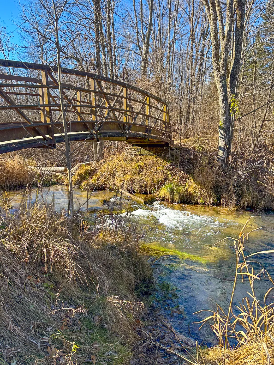 Emmons Creek