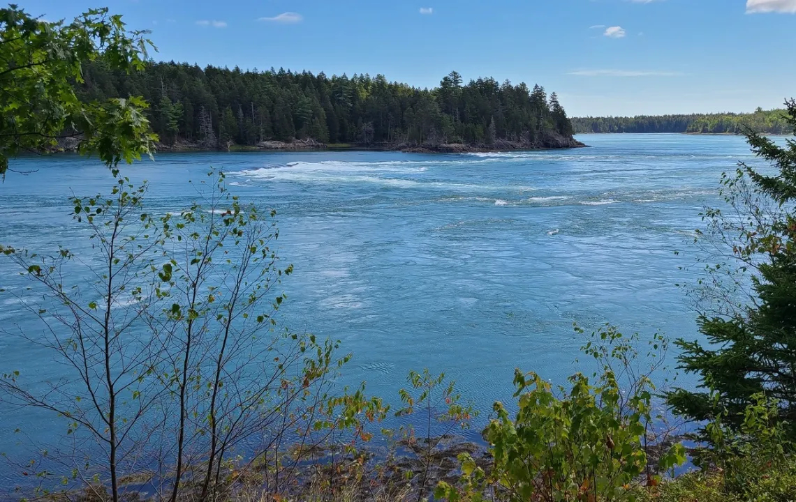 Reversing Falls at high tide