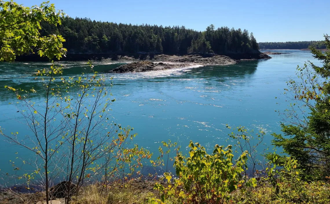 From the same spot as the prior picture, at low tide