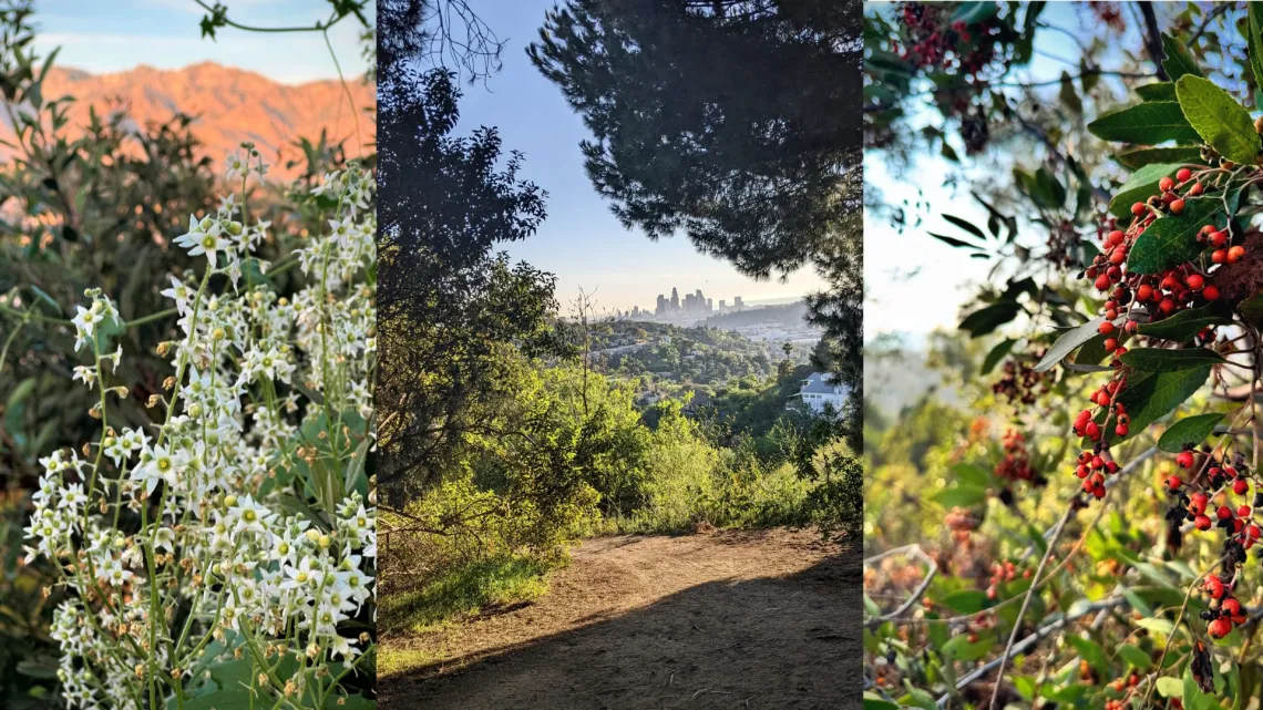 Sycamore Grove Park/ Debs Park
