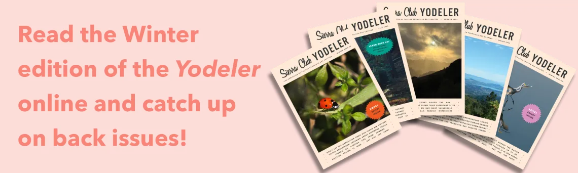 Read the Winter edition of the Yodeler online and catch up on back issues!