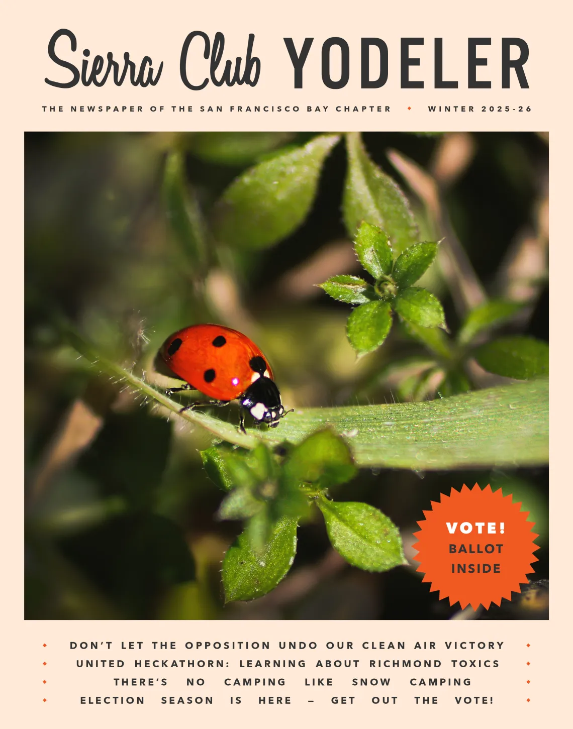 Winter 2025-26 Yodeler cover with a lady bug on green leaves