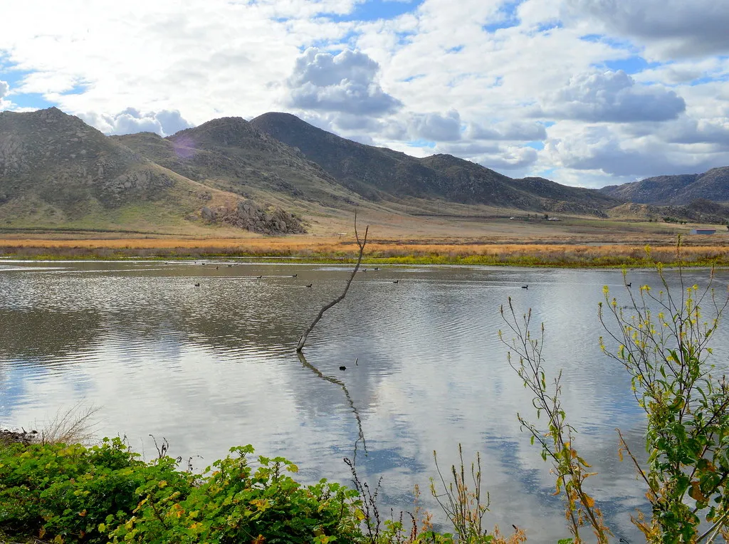 View of Mystic Lake at San Jacinto Wildlife Area