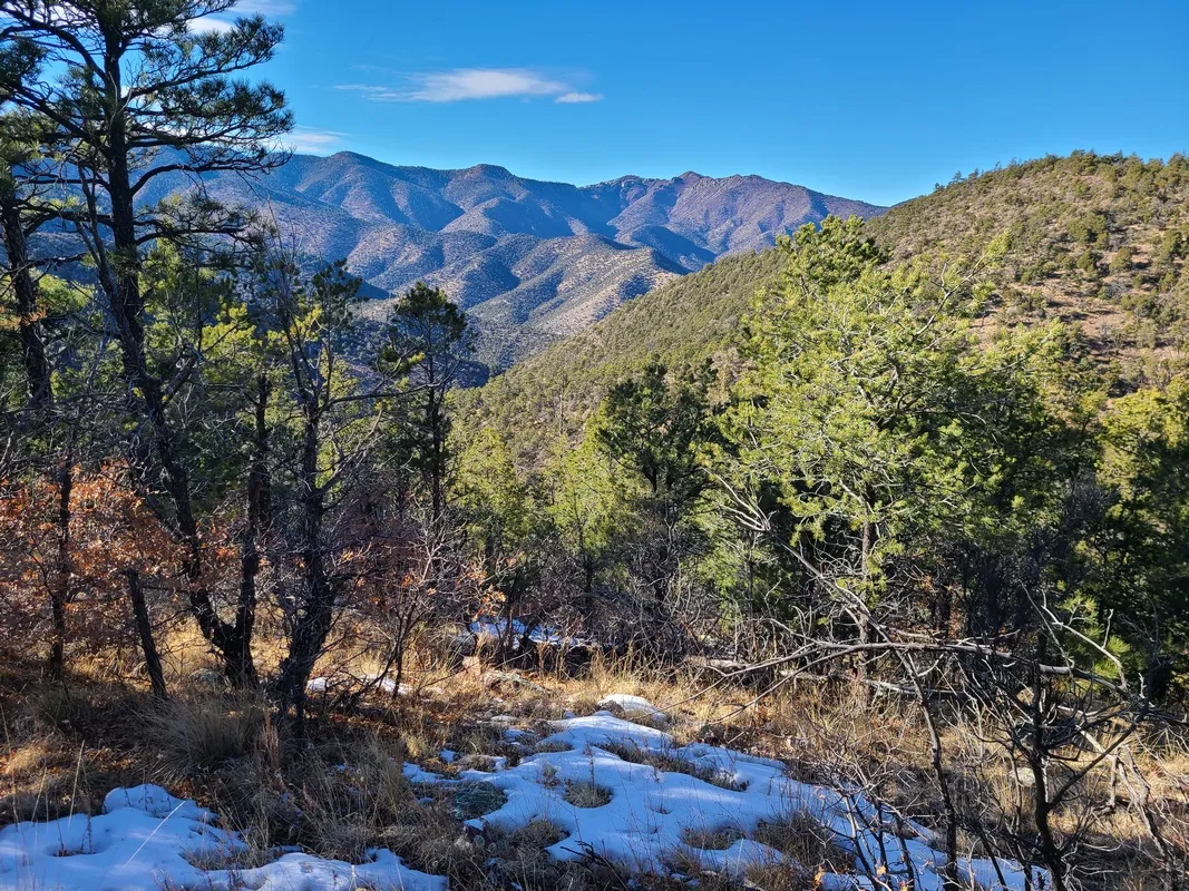 Looking NW across the Magdalena Mountains