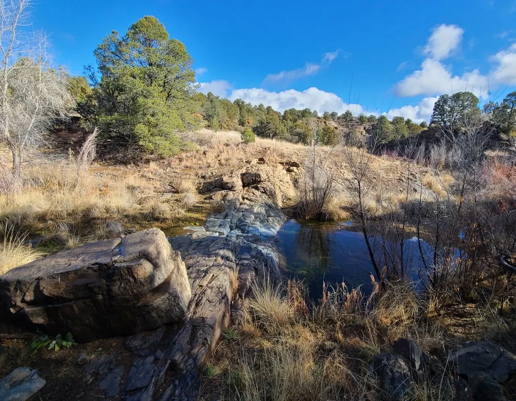 On the Dragonfly Loop Trail, north side.