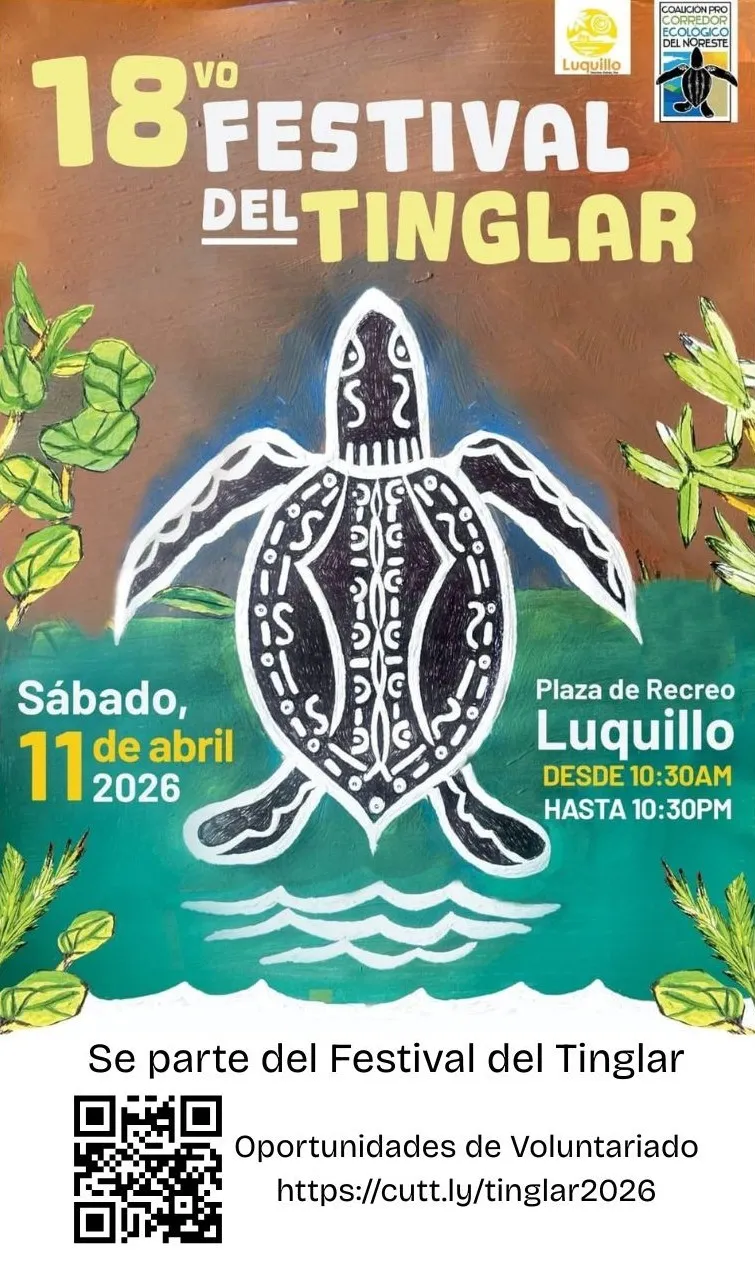 Poster del 18vo Festival del Tinglar con información de fecha, hora, y lugar.