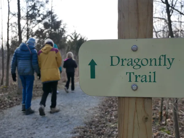 A trail with three people walking with their backs to the camera. There is a sign saying Dragonfly Trail with an arrow. There are brown leaves on the ground