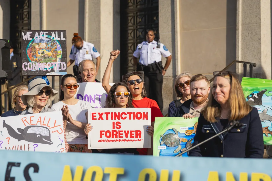 A group of people at a rally gold signs that say "Extinction is Forever" and "We are all connected"