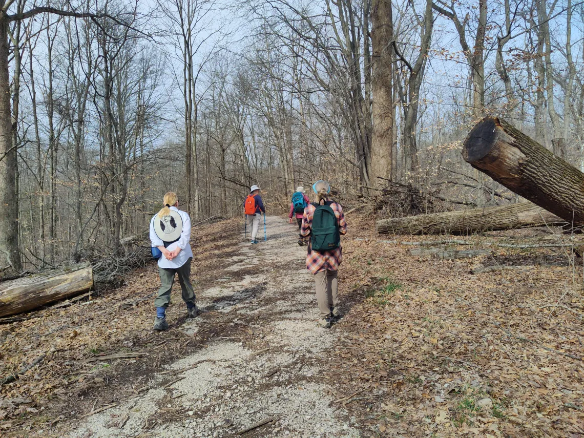 Four people on a trail, walking away from the camera. The sky is blue but the trees are bare and there are brown leaves on the ground