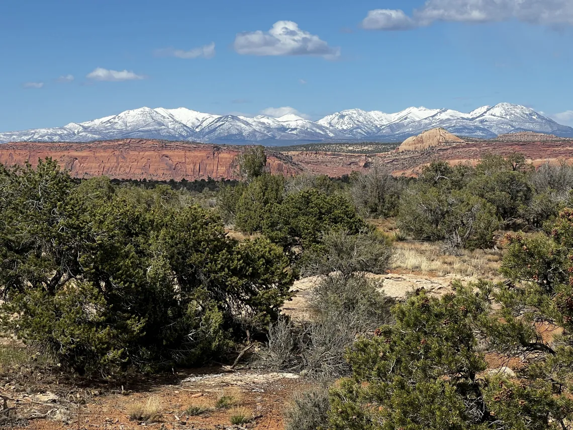 Mountain range in distance, desert landscape in foreground