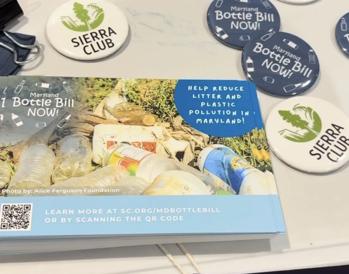 Bottle Bill postcards, buttons, and Sierra Club buttons. 