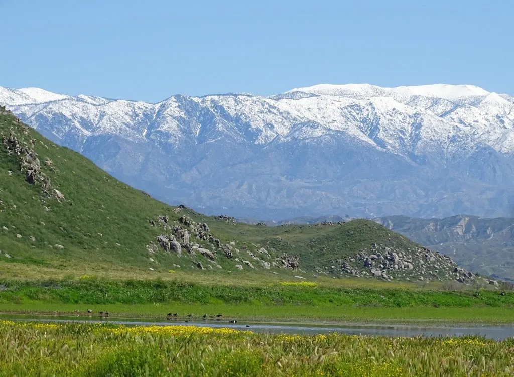 Scenic view of the San Jacinto Wildlife Area 
