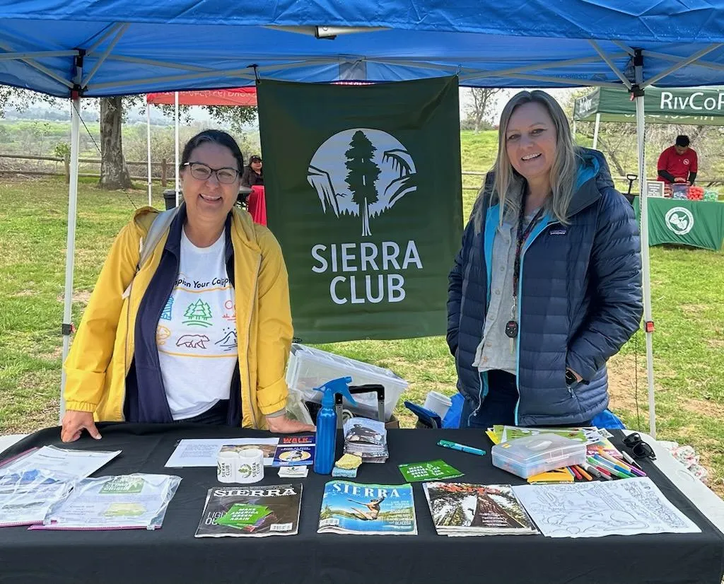 Box Springs Group Tabling 