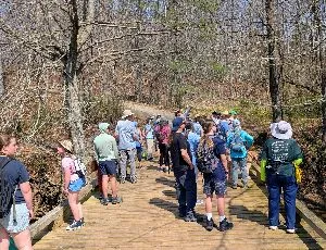 long creek trail walk with people on footbridge