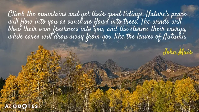 Muir quote and forest