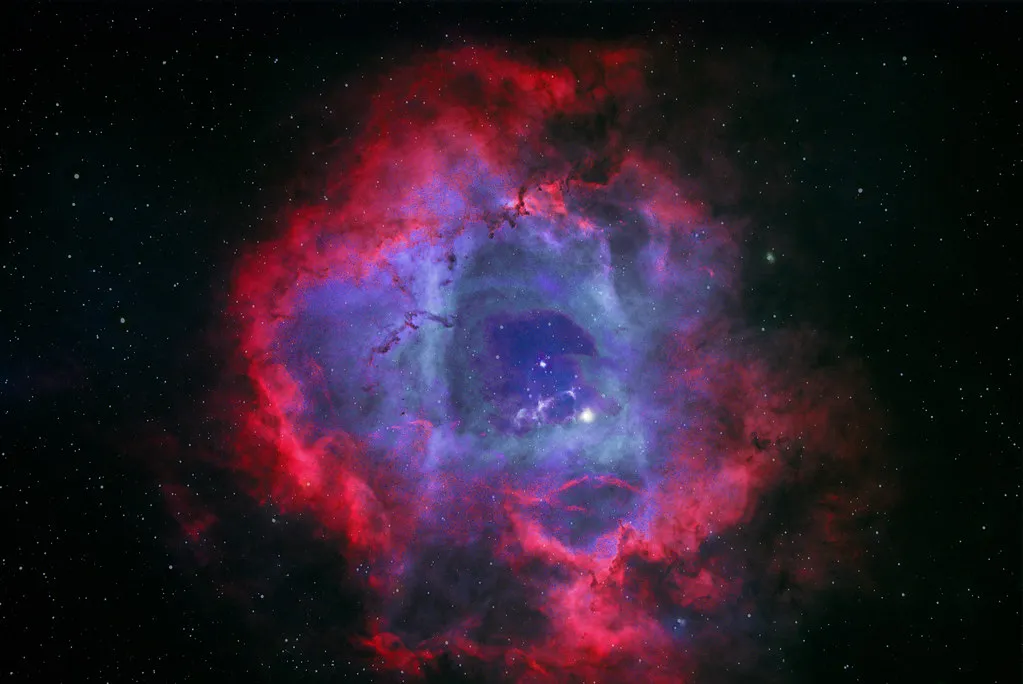 Rosette Nebula