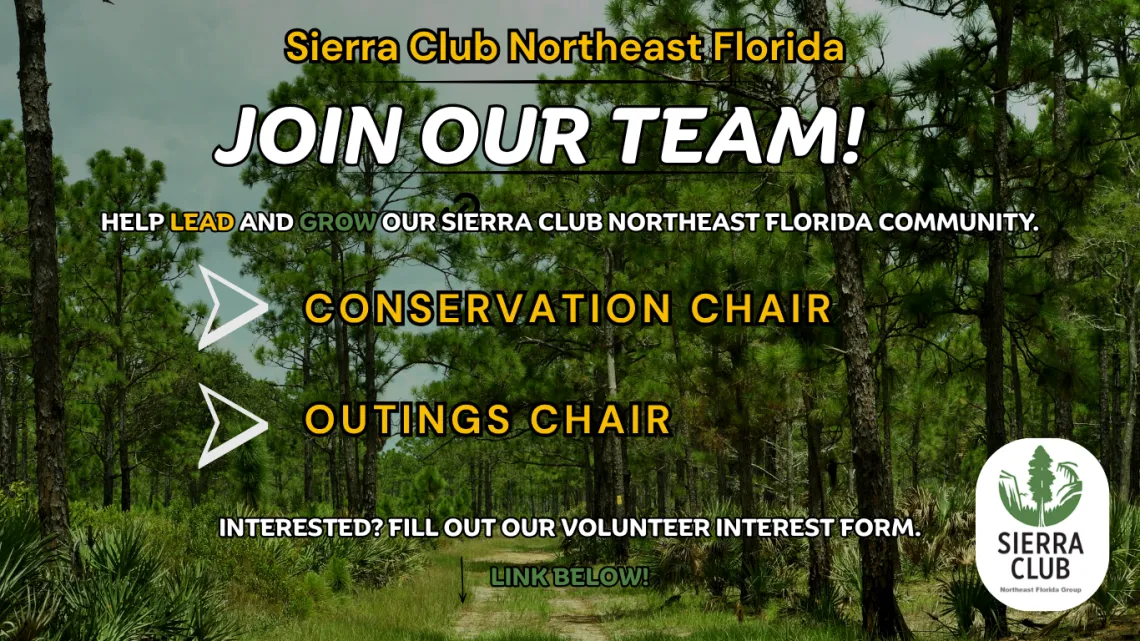 join our team graphic 2