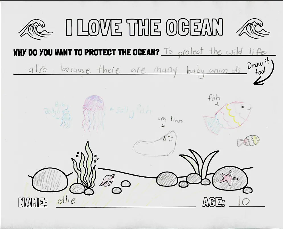 child's drawing on why they love the ocean