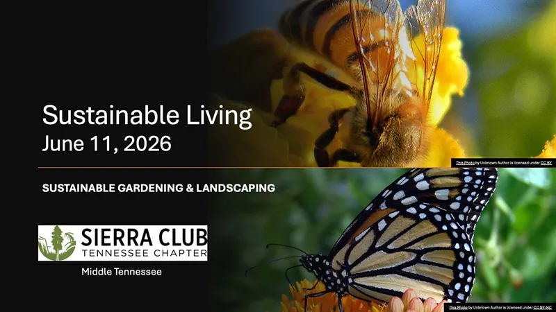 Sustainable Living - Landscaping