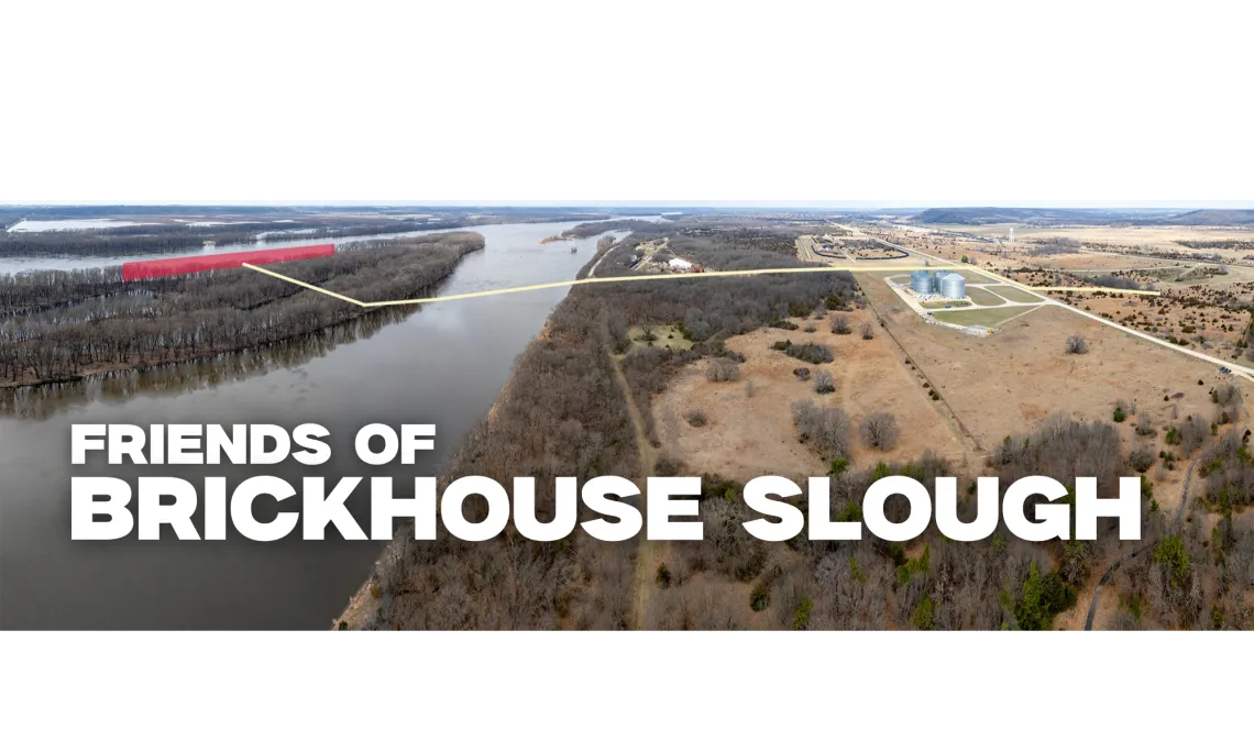 Friends of Brickhouse Slough 