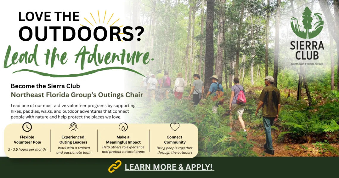 Advertisement for Outings Chair