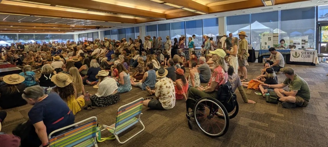 Sonoma Wild Audience