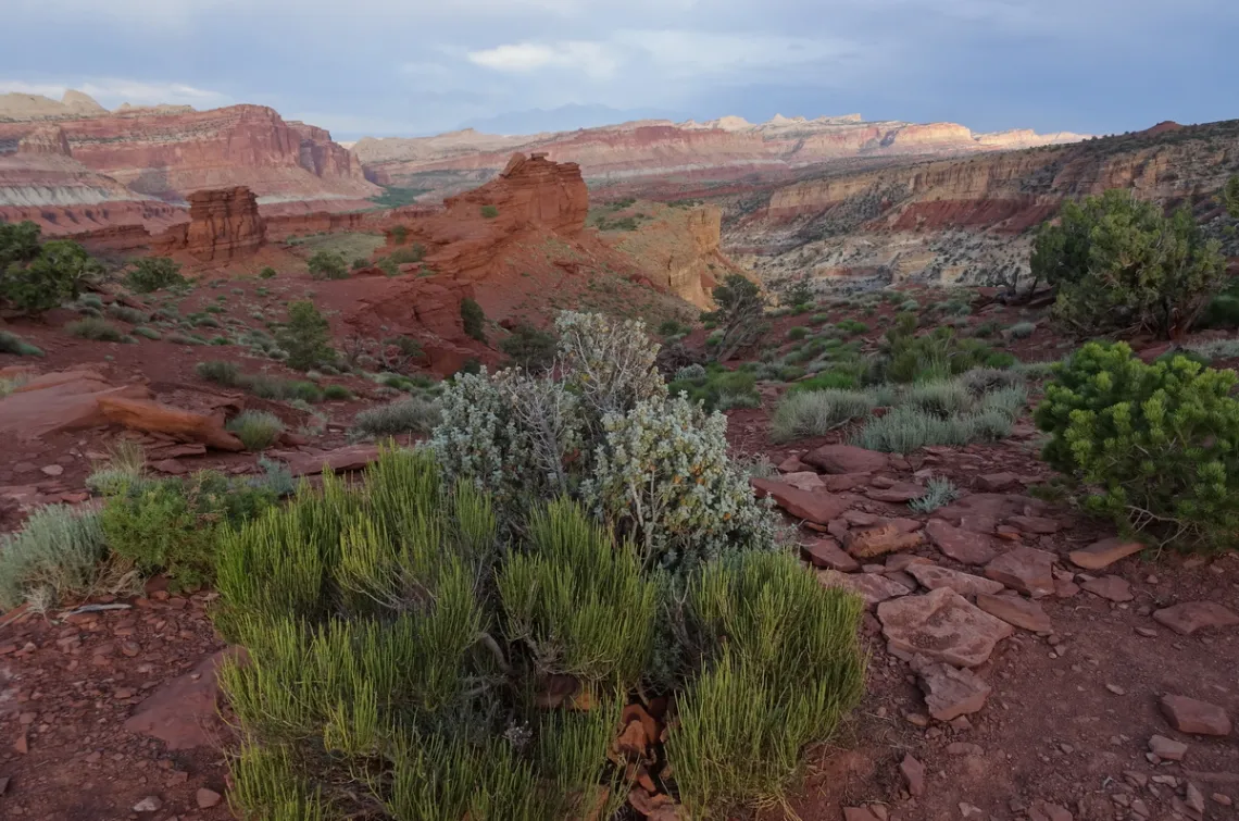 Goosenecks Overlook, looking south