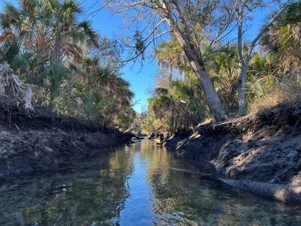 Jenkins Creek