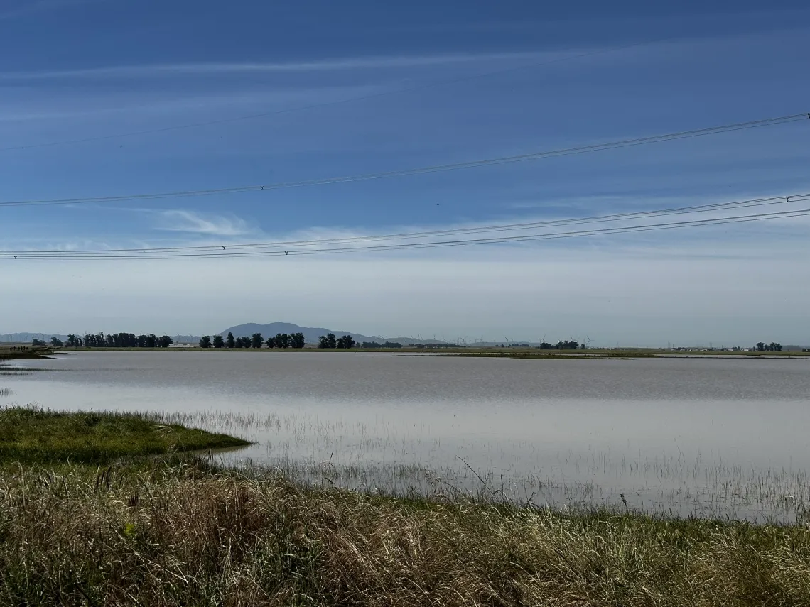 Full vernal pool with Mt. Diablo in the background