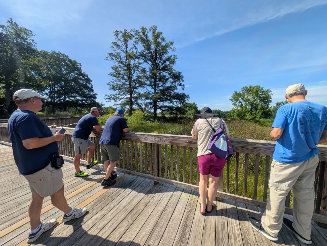 Five people on a boardwalk looking over a wetland area. The sky is blue and there are green trees scattered in the background.