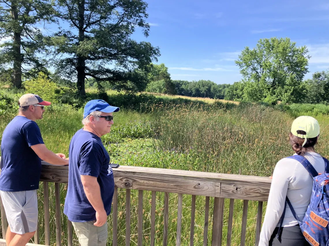 Three people looking over a wetland area. There are tall and short grasses, with trees and a blue sky in the background