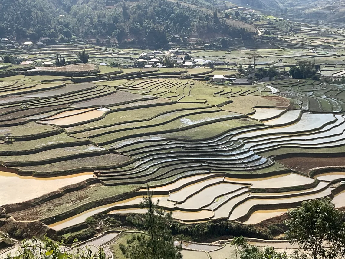 Water-filled fields on hillside