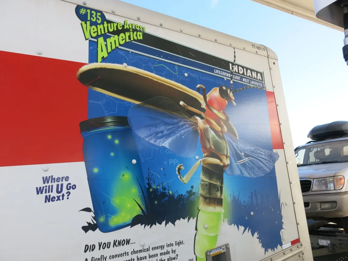 The side of a U Haul truck with an illustration of a firefly on the side