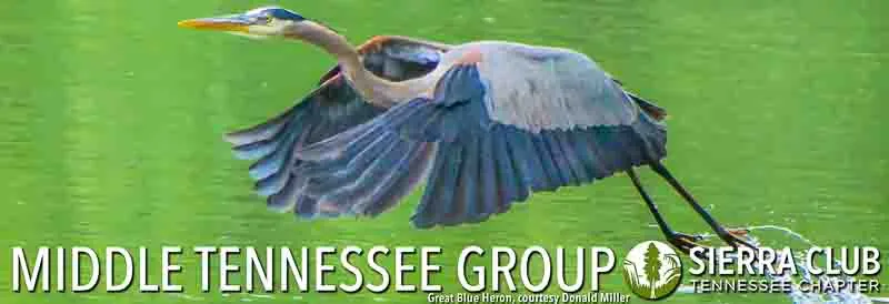 Middle Tennessee Group Header