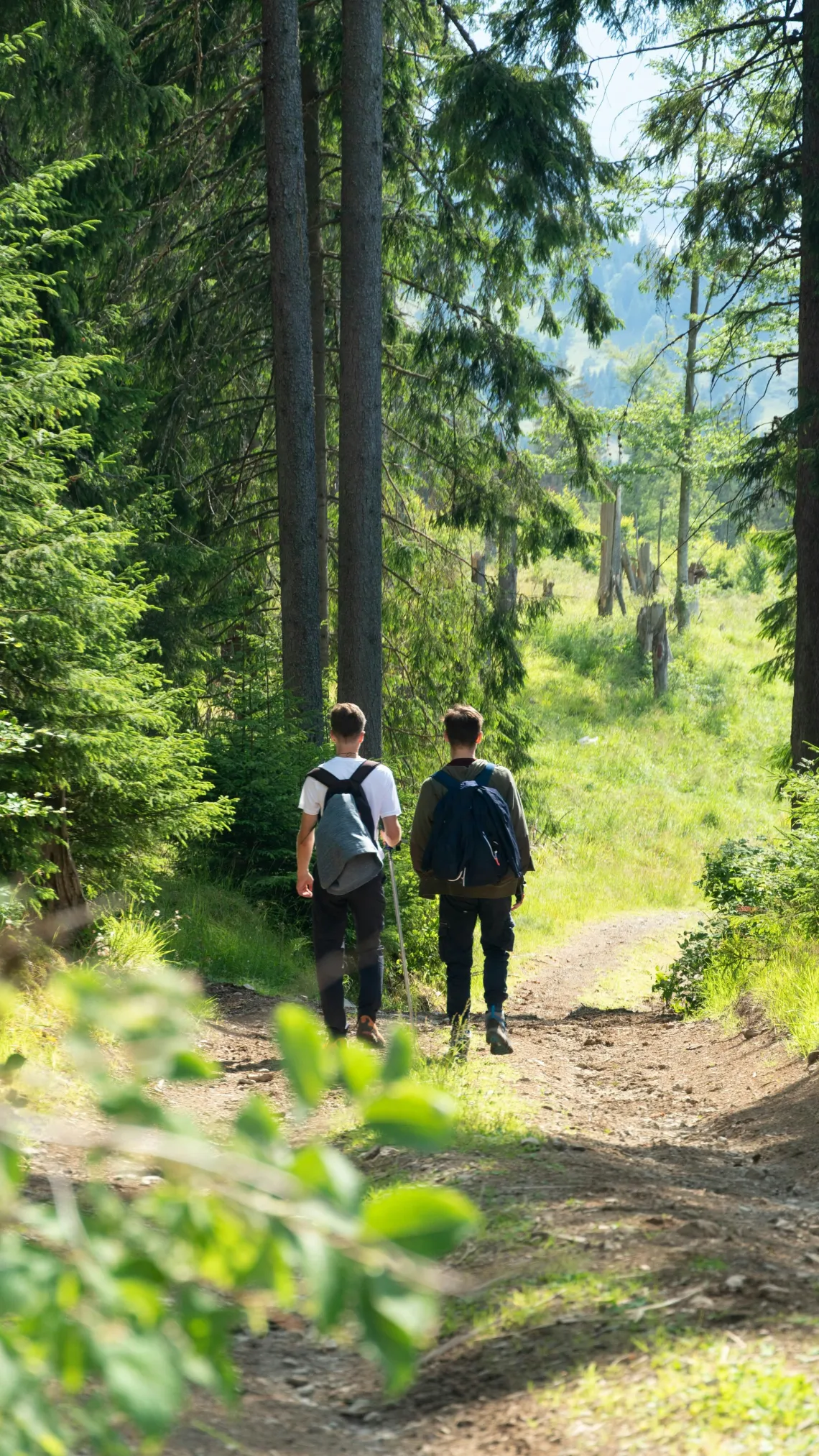 Two people waking on a hiking trail.