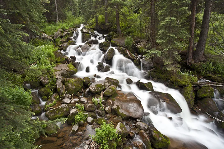 waterfall in forest